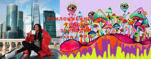 ГАЛЛЮЦИНОГЕННЫЕ ГРИБЫ Валуйки