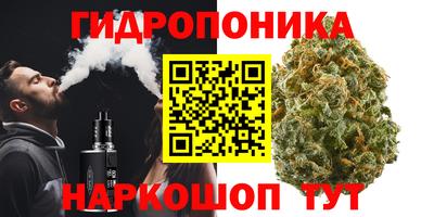 a pvp Ставрополь